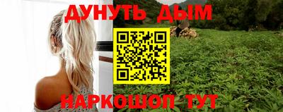 стаф Бийск