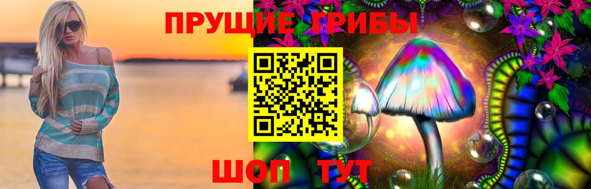 Псилоцибиновые грибы Psilocybine cubensis Изобильный